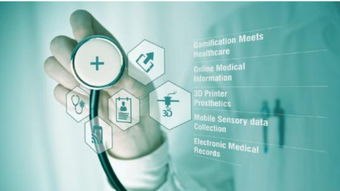 《海贼王》第621集 细致入微的官方翻译与优质字幕服务